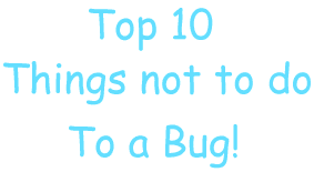 Top 10 Things Not to do to a Bug